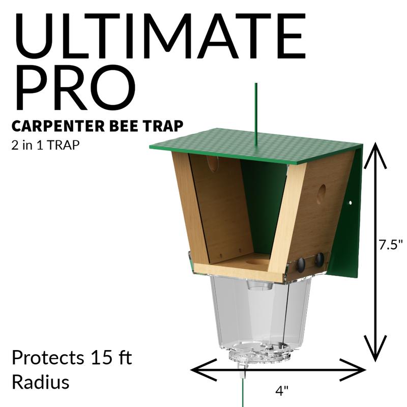 BeeLock Pro™ Trap System