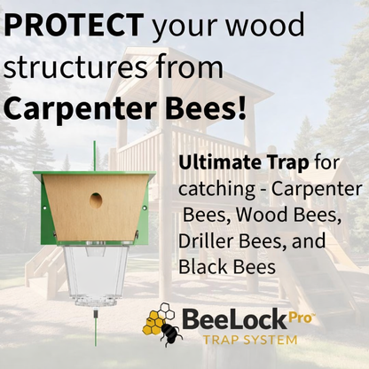 BeeLock Pro™ Trap System