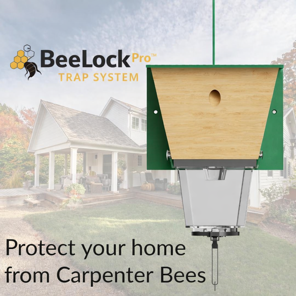 BeeLock Pro™ Trap System